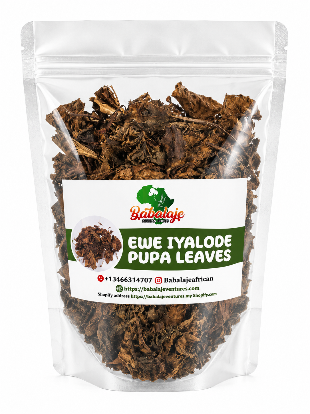 Dried Ewe Iyalode Pupa