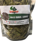 Dried Guava Leaves